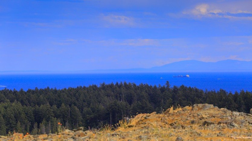 Sold – Rare Building Lot